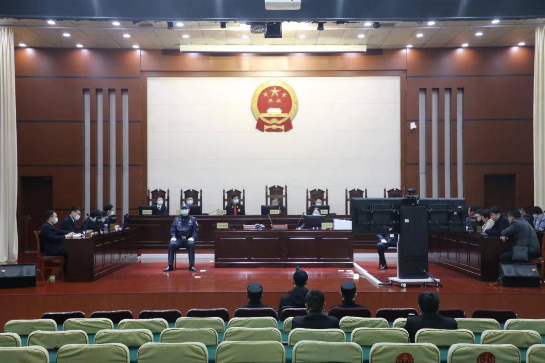 兰陵法院一审公开宣判被告人任某某等24人组织,领导,参加黑社会性质