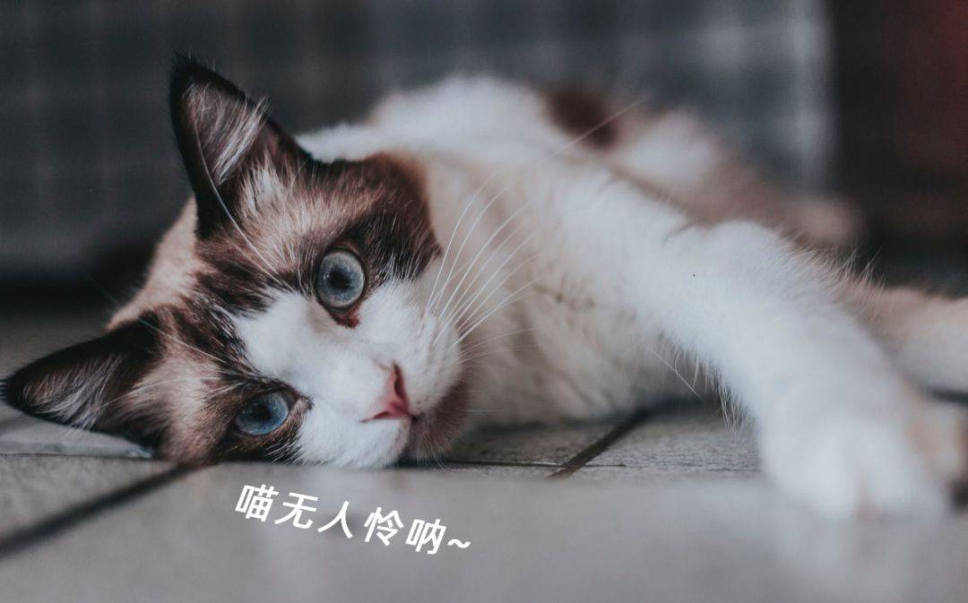 醒醒吧,你还被"坚持就是胜利"这种毒鸡汤忽悠吗?