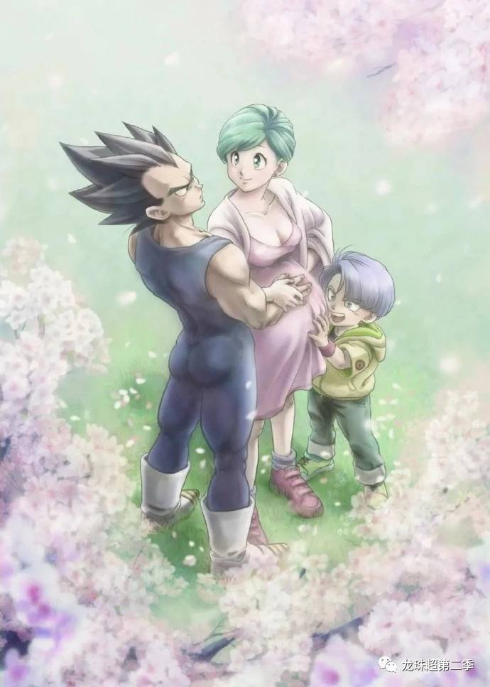 龙珠:贝吉塔一家人