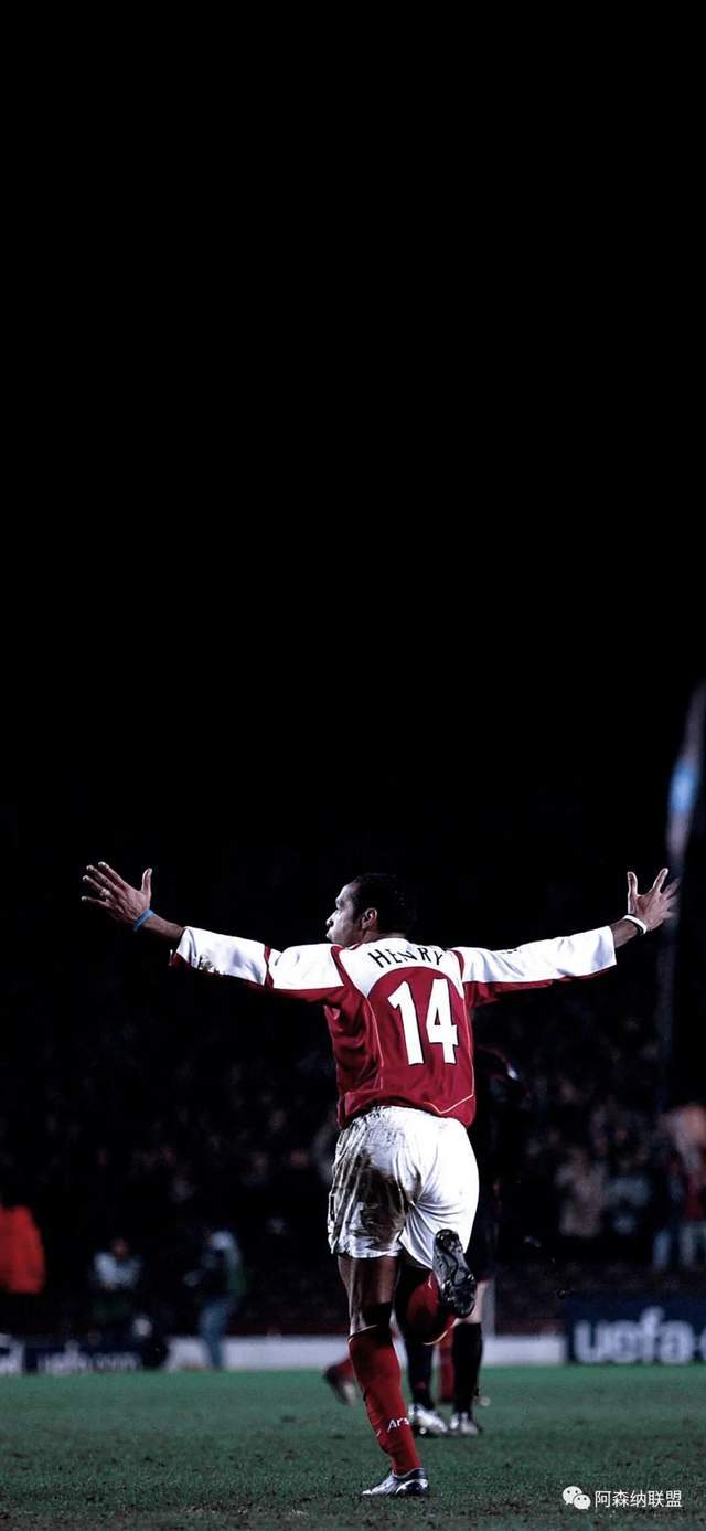 海布里之王亨利大帝壁纸共赏