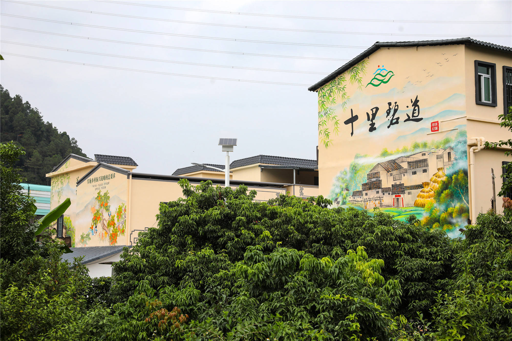 广州增城:遇见秀色邓山 留住美丽乡愁