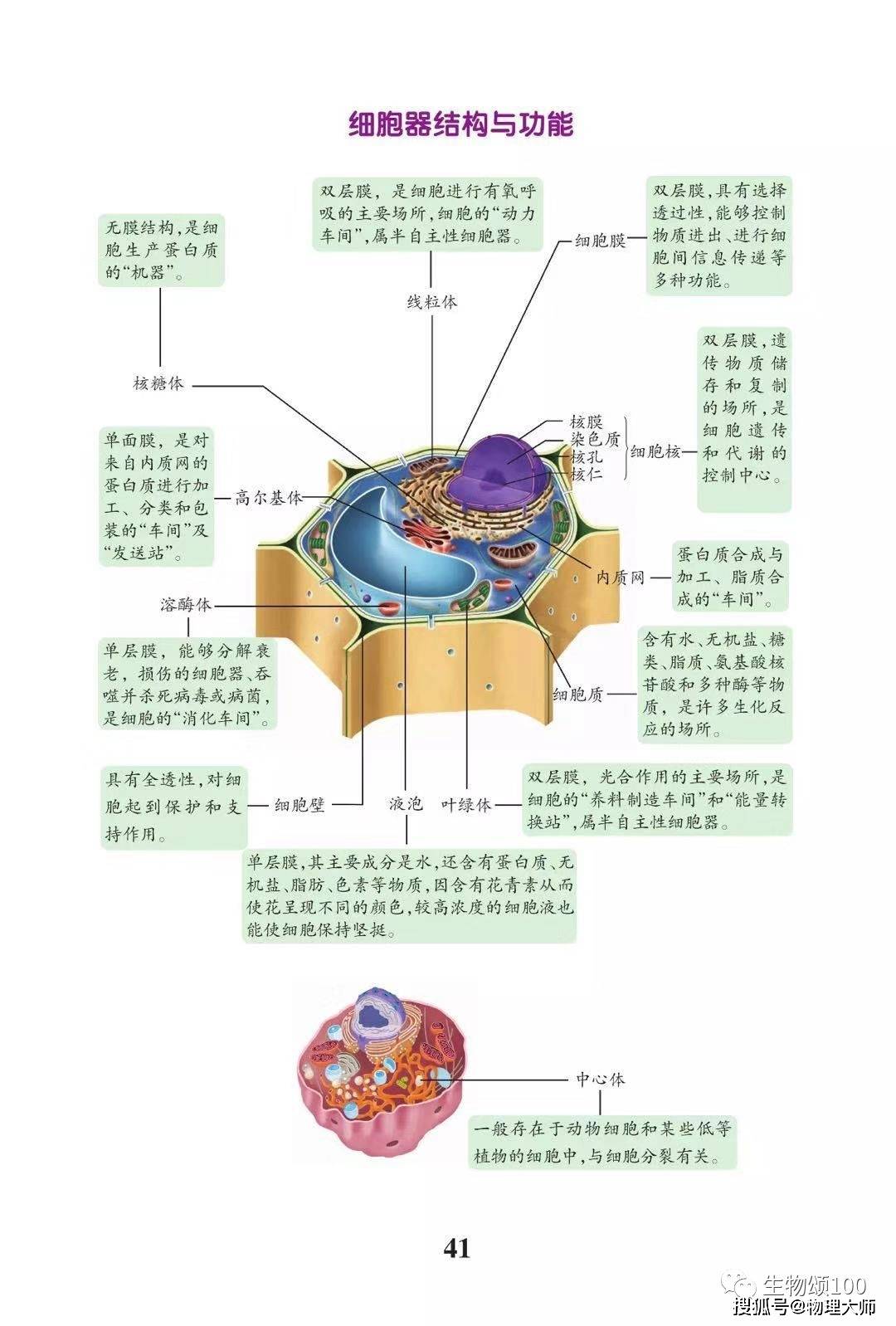 高中生物课本及试卷中常考图片题大集合同学们赶紧收藏