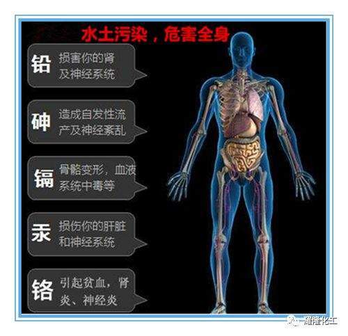 硫酸镉毒性图片