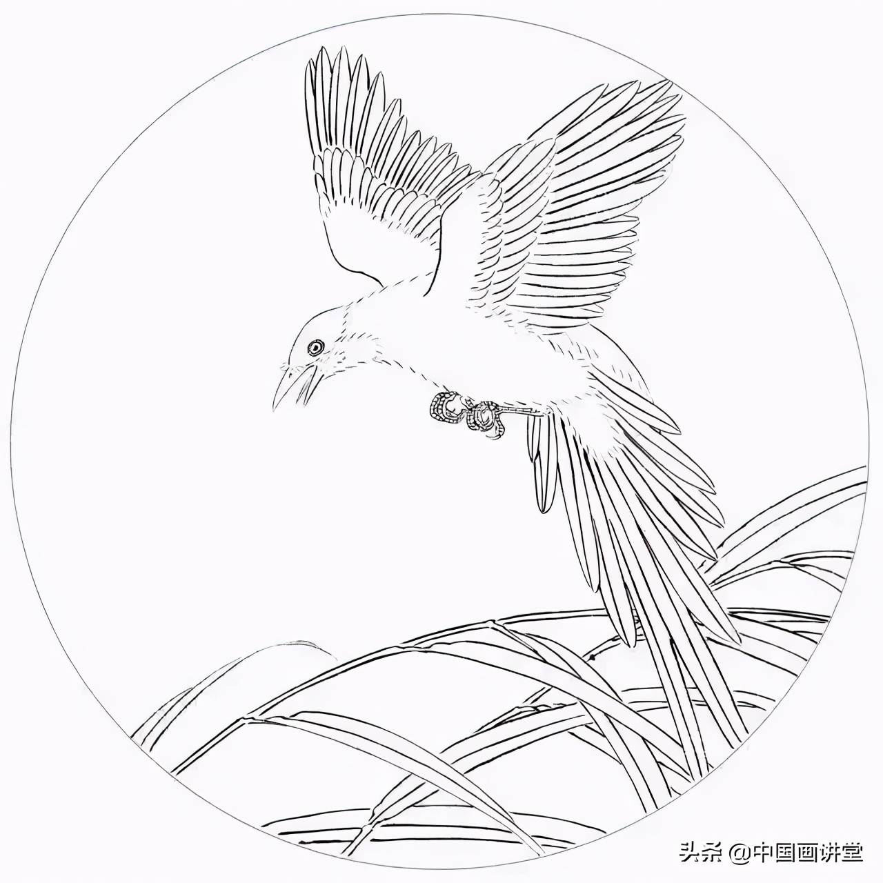 工筆白描知識及線描要求圖解