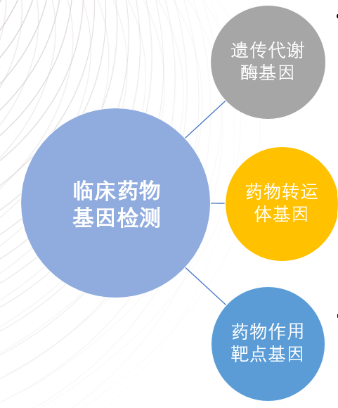 化疗亦可精准用药,基因检测助力实现"高疗效,低副作用!_药物