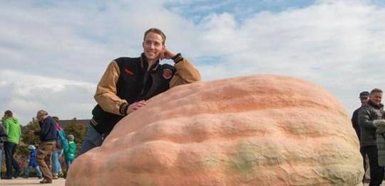 世界上最大的西红柿