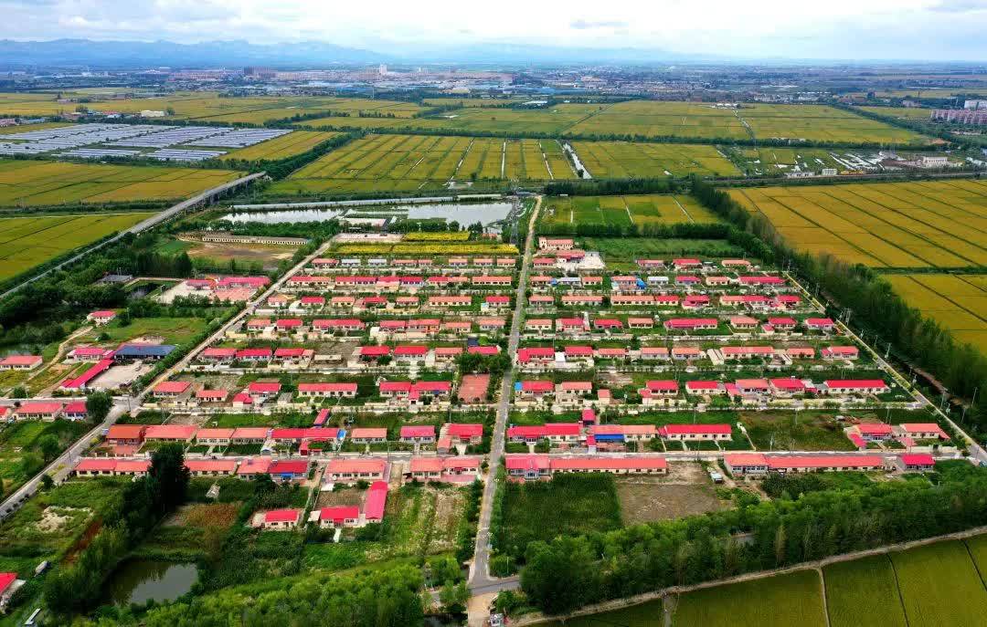 点赞甜水镇全国一村一品示范村镇