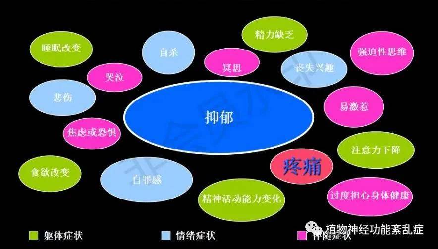 植物神经是一种传出神经,主要分布在心脏,心血管,腺体等部位_手机搜狐