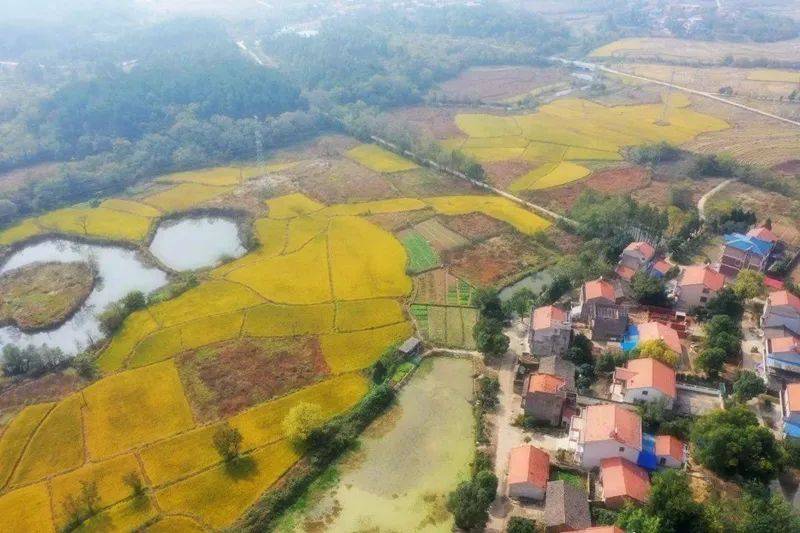 黄陂甘露山图片