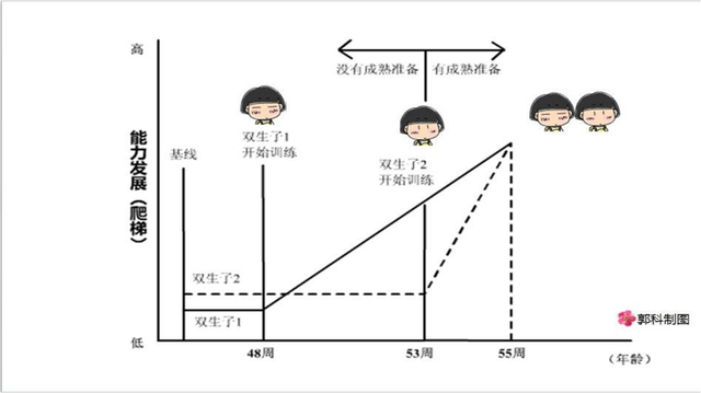 格赛尔的双生子爬梯实验,说明了成熟的重要性:在成熟的时候,进行适宜
