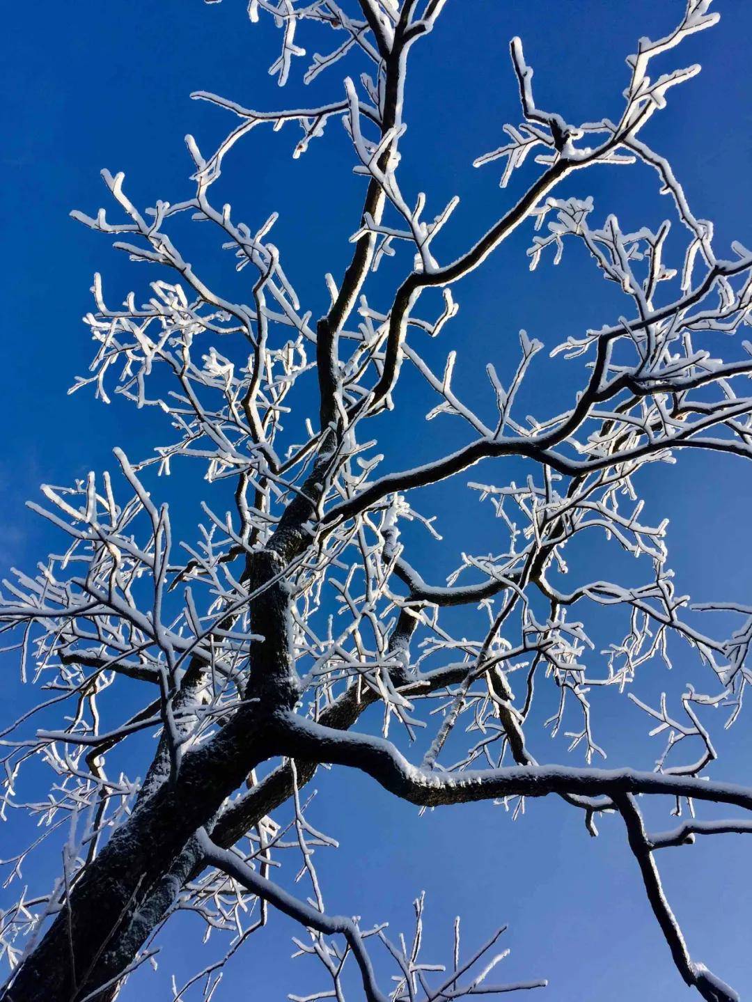 (白云小镇冰雪乐园实景拍摄)每年来白云小镇冰雪乐园打卡的年轻人都