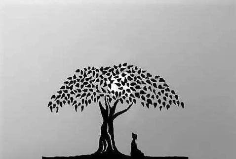 原创菩提本无树是什么意思为什么能助力六祖慧能得到禅宗衣钵