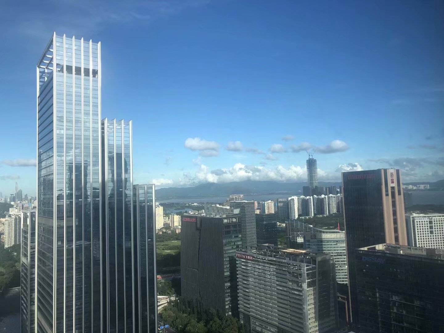 深圳公司的窗外.