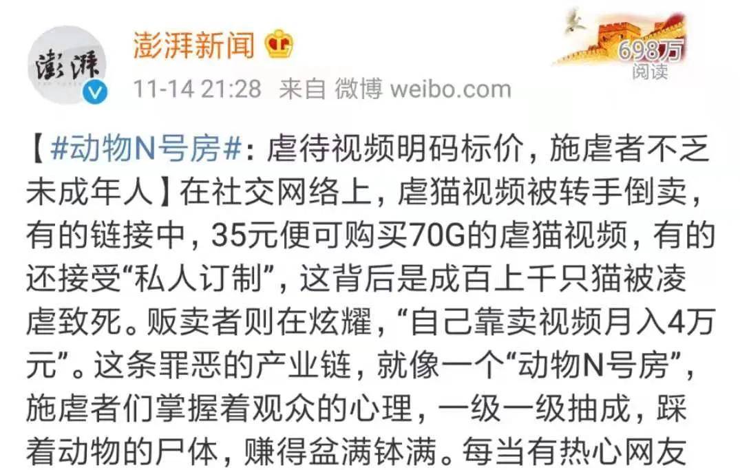 他4脚踹死了我的猫还笑着说看它不顺眼