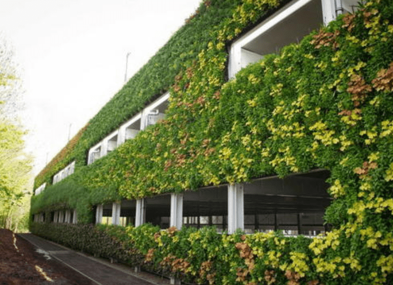 渝泽园林建筑环境立体绿化施工技术关于植物的选择