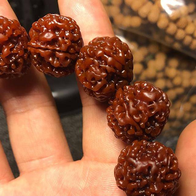 金刚菩提泡水就“反碱”，其实都错了，金刚菩提反碱跟水没关系！