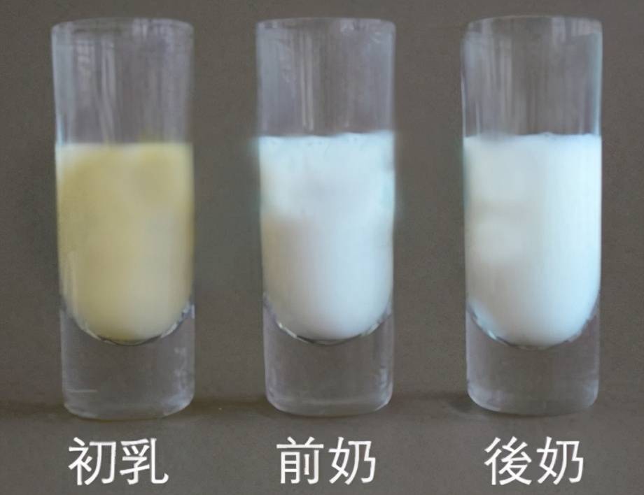 原创初乳or水新生儿的第一口有讲究宝妈别再搞混了