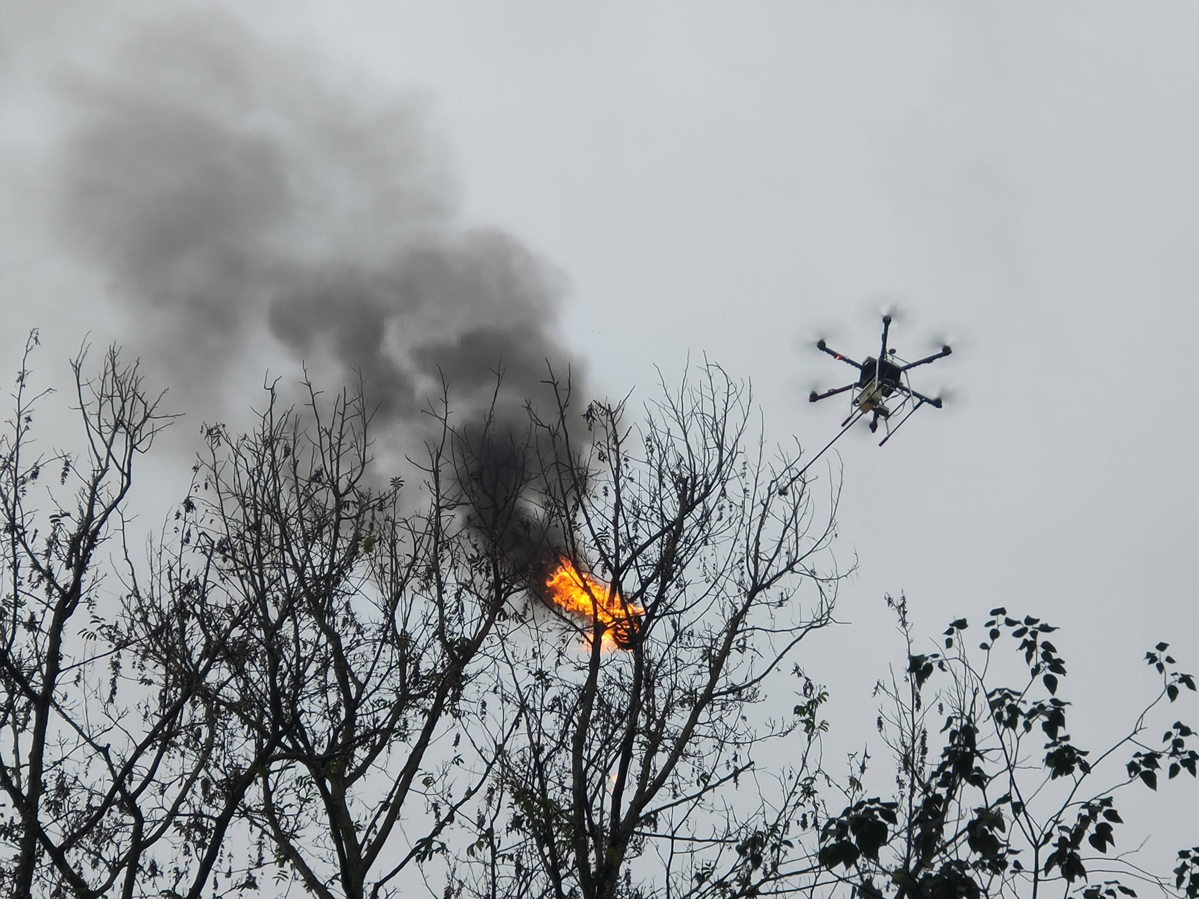 忠县蓝天救援队用无人机喷火剿灭马蜂窝获群众点赞