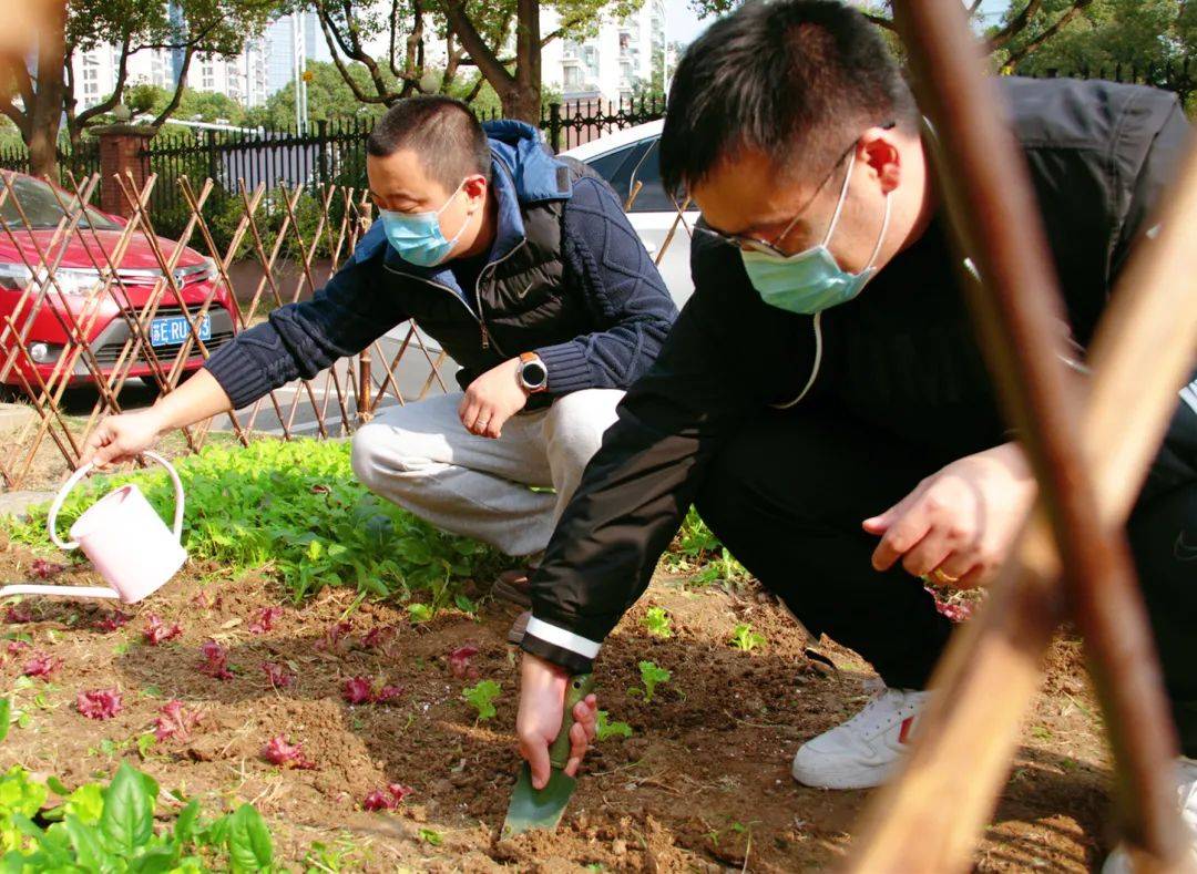 种菜玩出花样试验田苏州外国语学校开心农场成校园热门打卡地