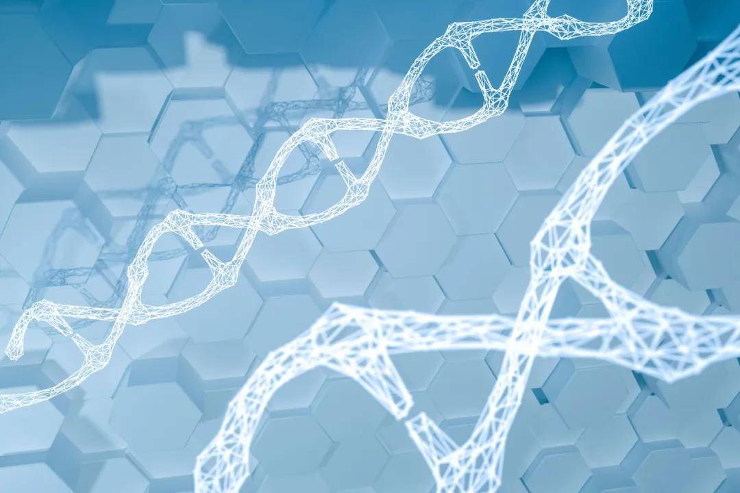编辑了58个婴儿的基因?华大连夜辟谣,牵连华大智造ipo