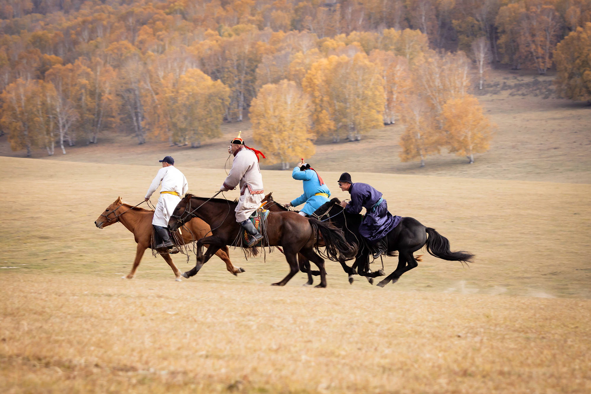 赛马是蒙古民族优良传统,这是骑手进行赛马活动