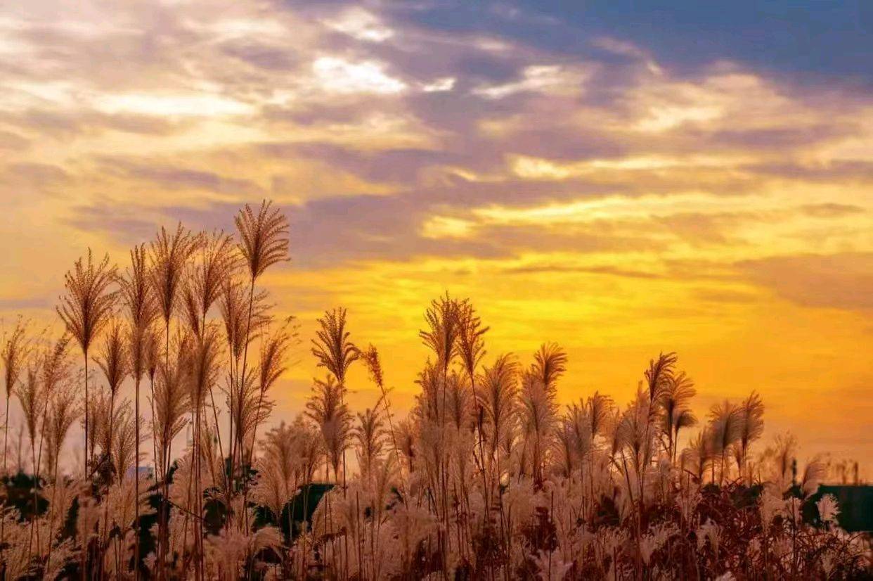 时光匆匆又一冬,岁月悠悠又一年