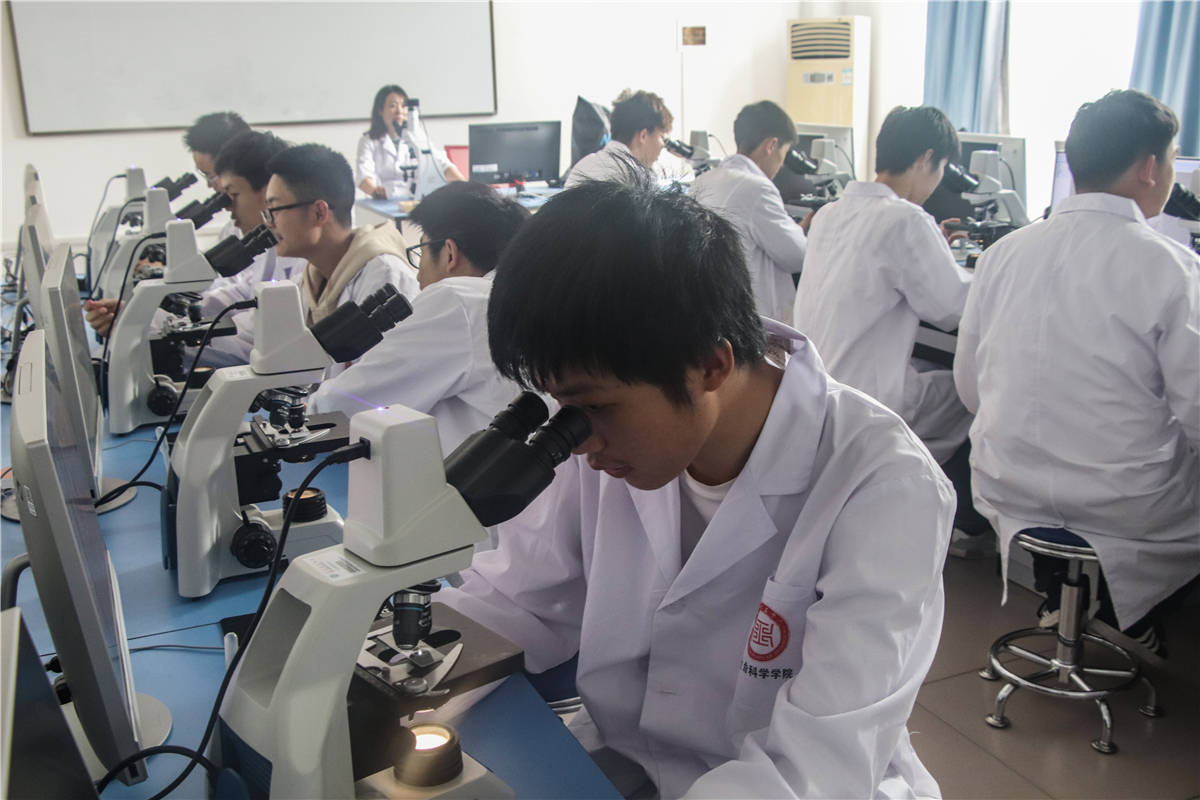 原创武昌理工学院生物工程专业建设一流专业把好人才培养质量关