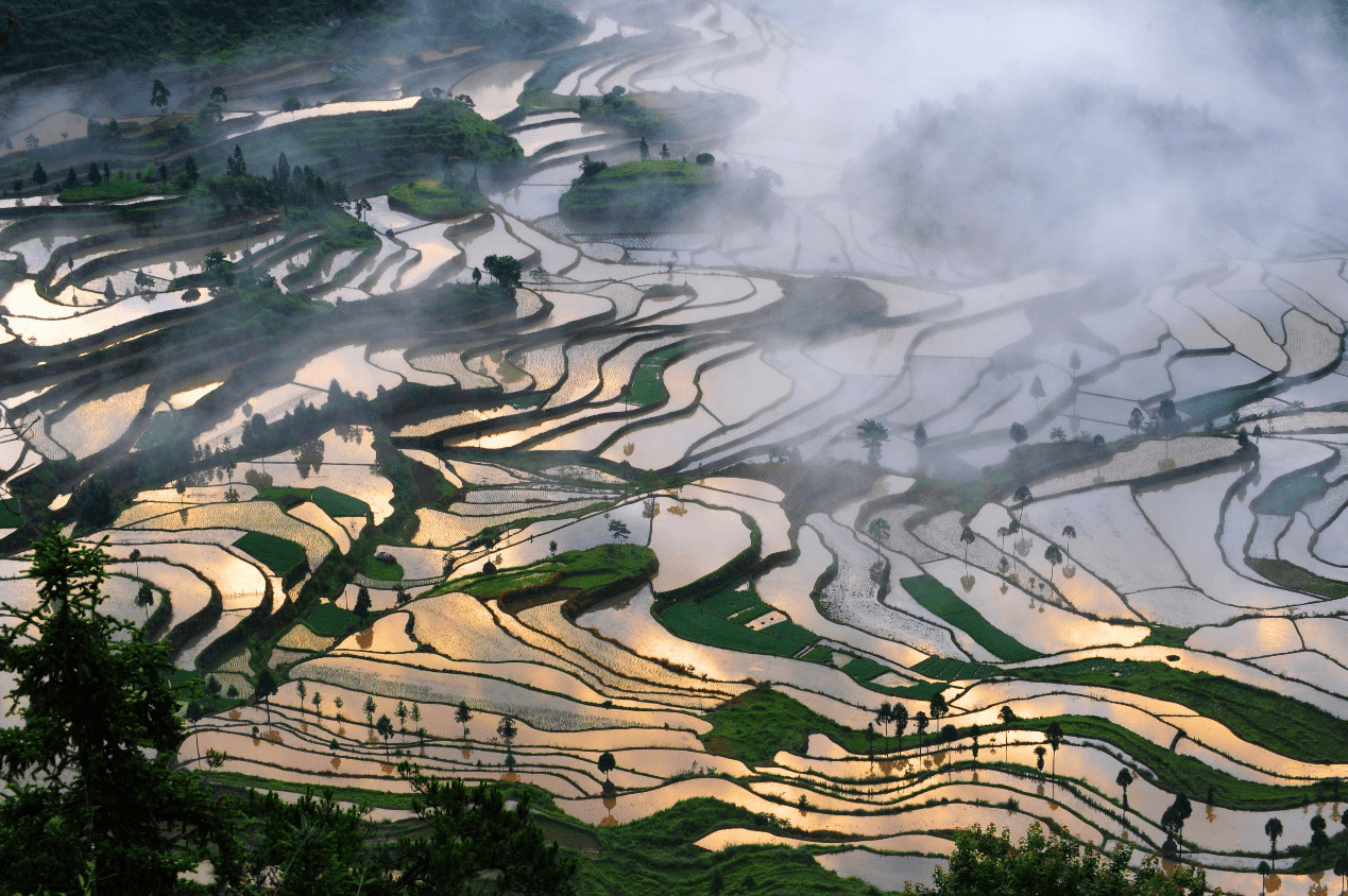 诗画山水 温润之州——2020版温州旅游宣传片全新出炉