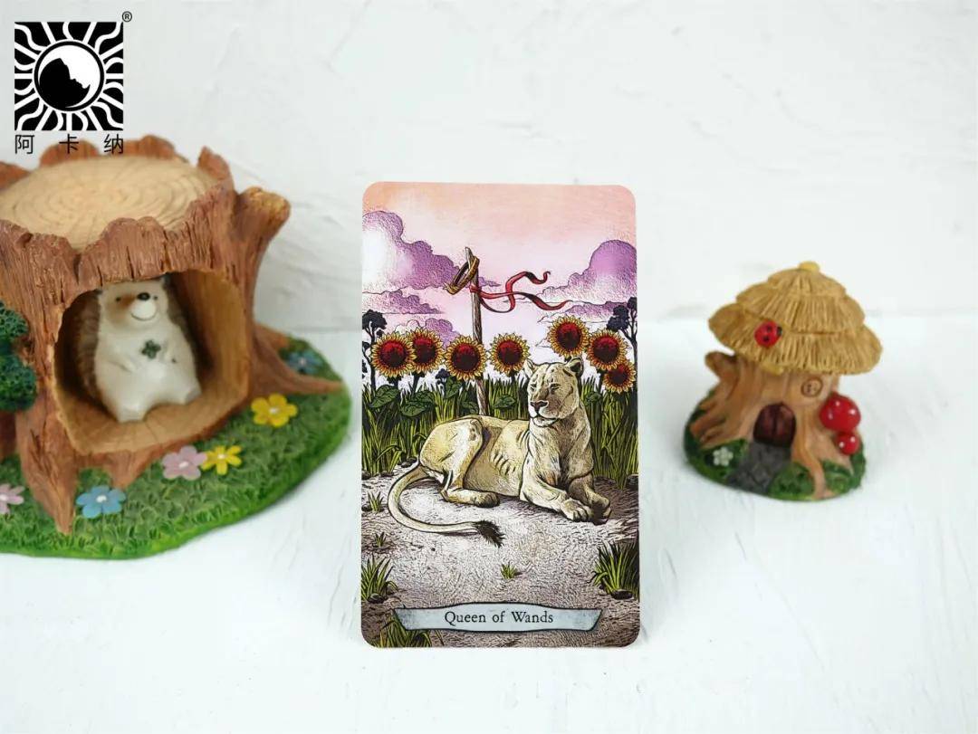 阿卡纳进阶塔罗师不可忽略的6副动物智慧系塔罗牌经典
