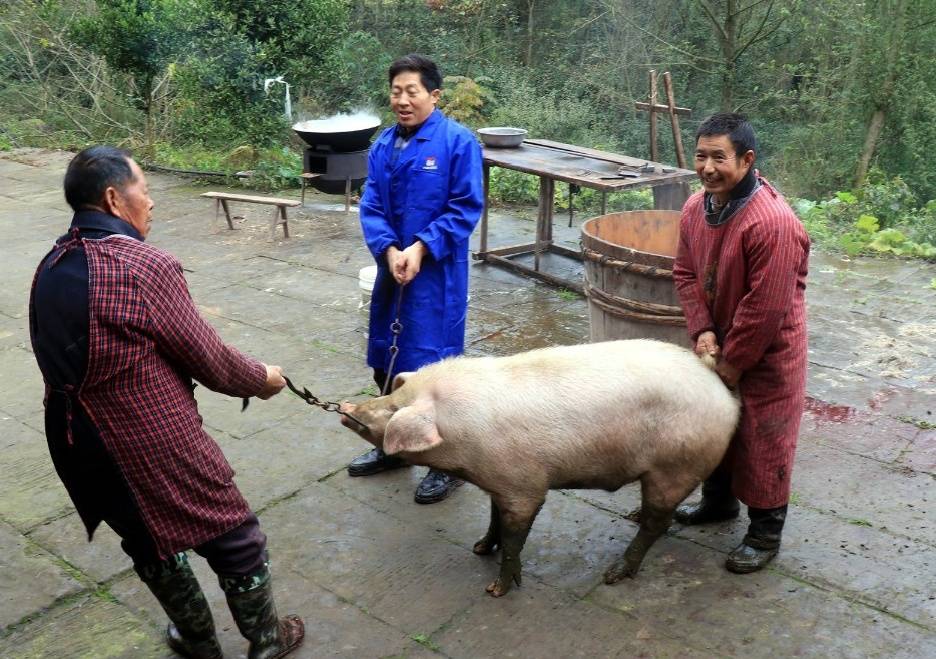 平昌聋哑夫妻的二十年:你是我的眼,我是你的耳!
