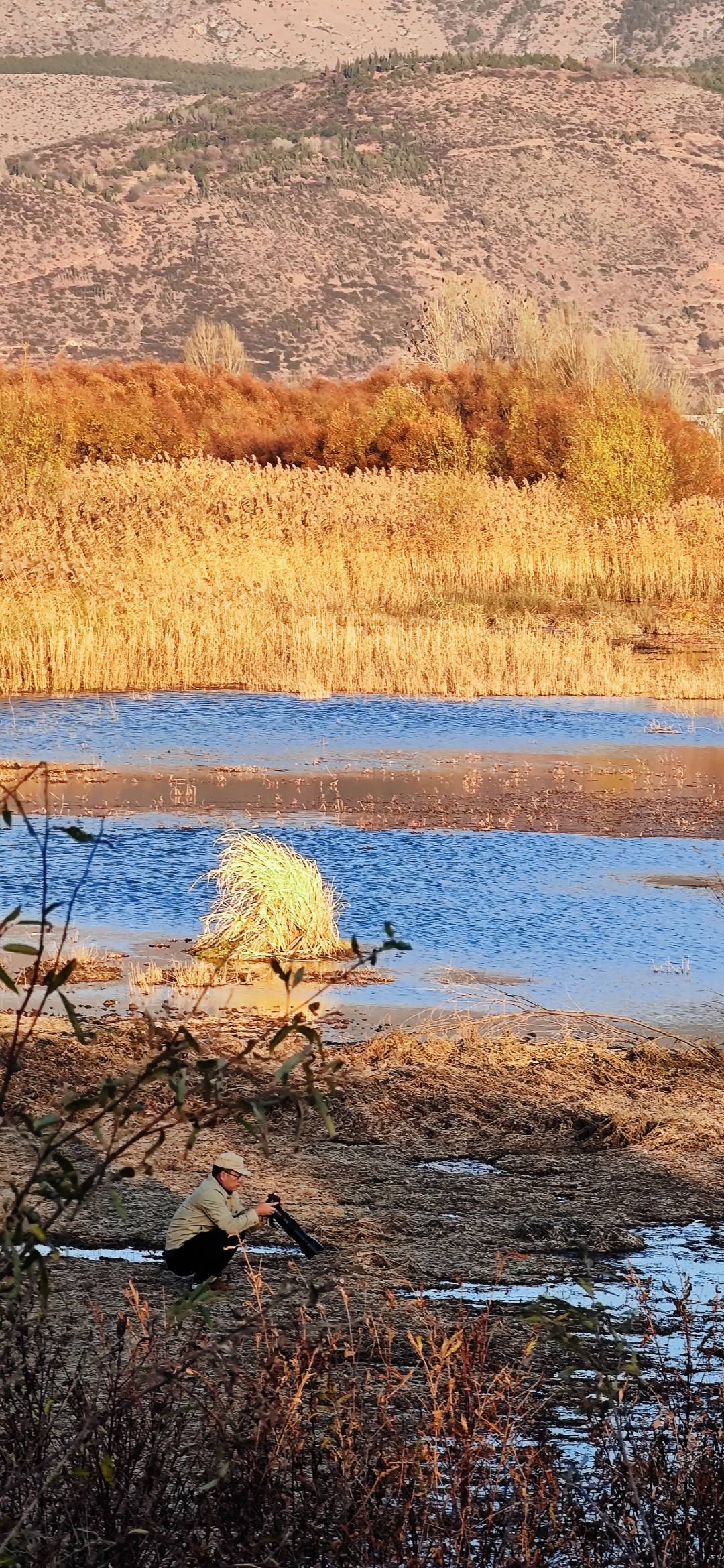 大理剑川 剑湖湿地 自驾,徒步,摄影的绝佳去处