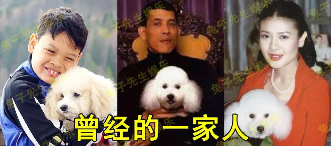 泰国王后和国王坐后排,还把狗狗放在腿上,这是在走西拉米老路啊