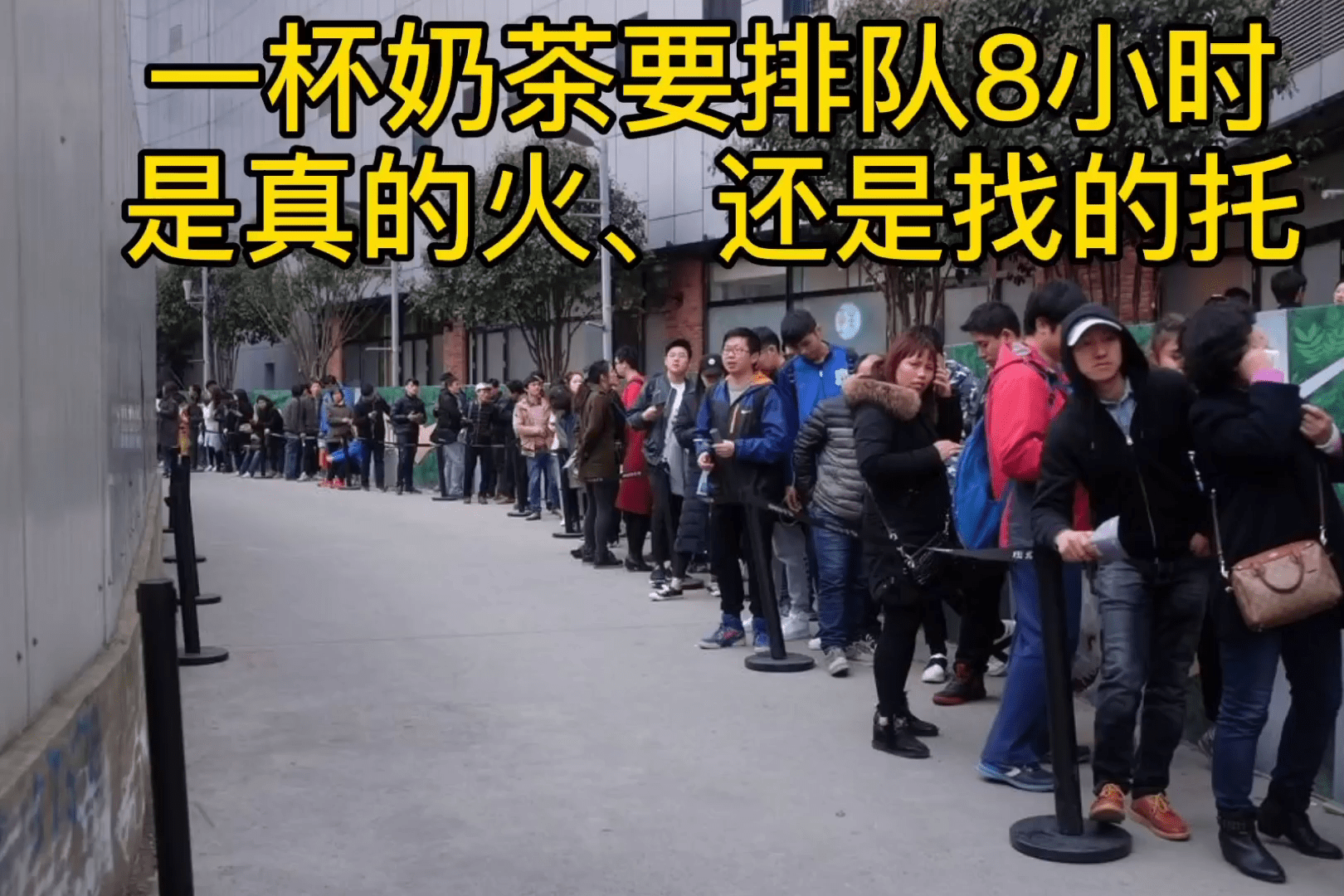 一杯奶茶要排队8小时真的火还是找的托