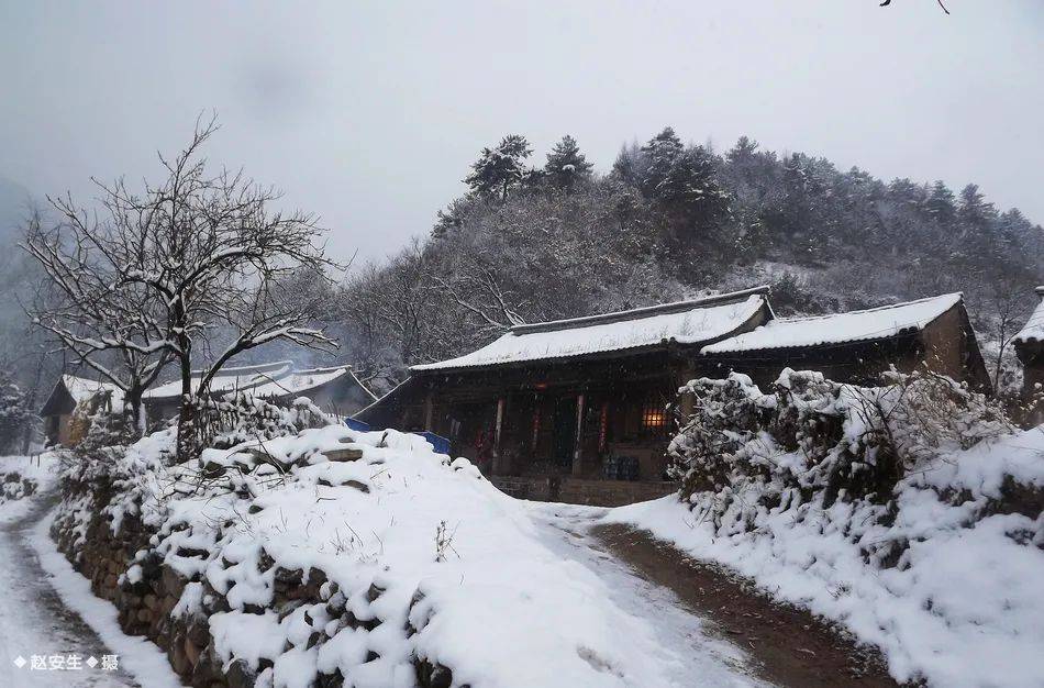 陕北北方农村雪景图片图片