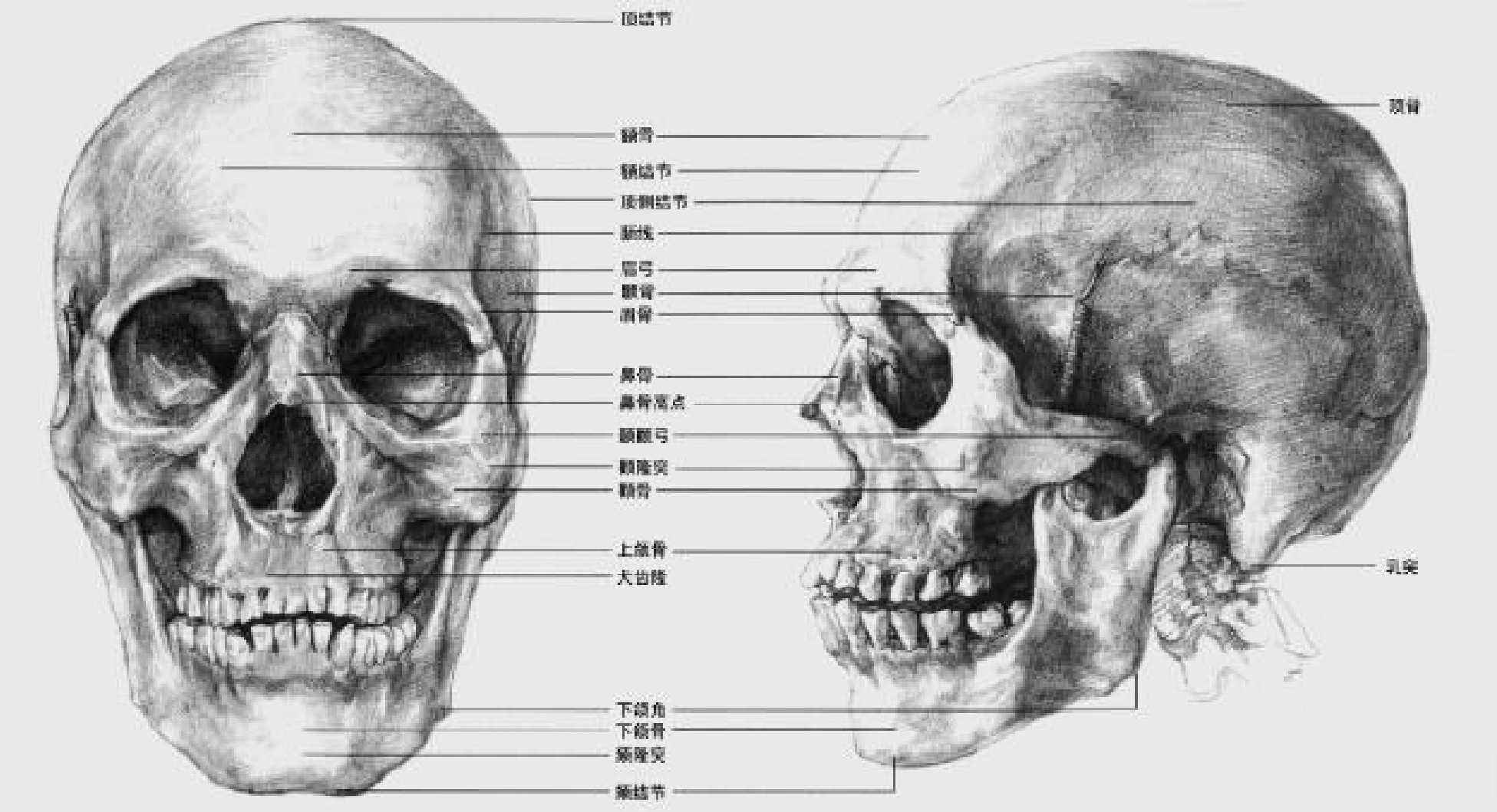 画头像素描写生有哪些有重点_手机搜狐网