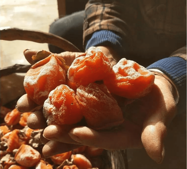 辰颐物语富平柿饼:一年只吃两个月只有它才是流心的甜