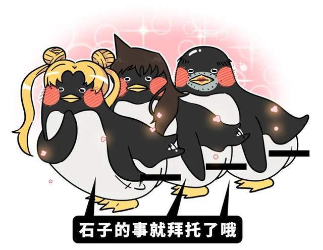 南极圈最贱萌干饭鹅,没有小丁丁,却色出新境界