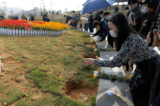 南宁市马岭公墓举行公益花坛葬活动