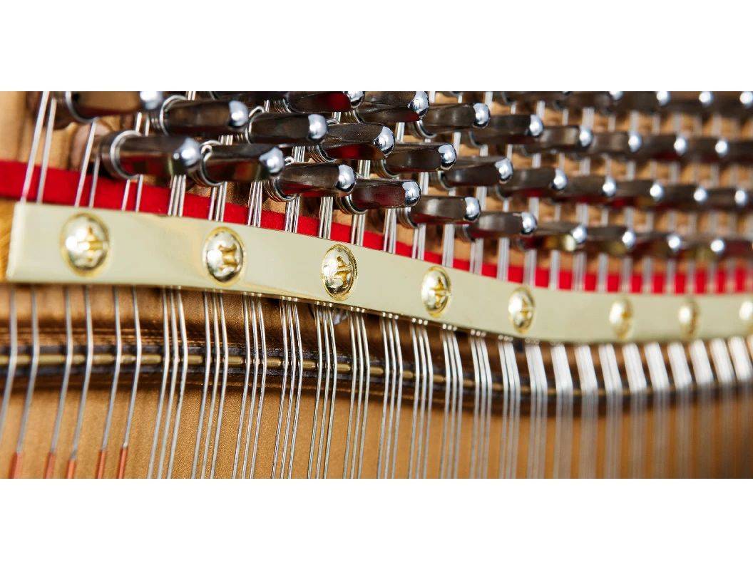 卡丹萨cadenza钢琴"高颜值系列亚光琴"闪耀登场!