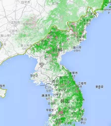 谷歌卫星地图全球森林监察系统揭示中国绿植覆盖