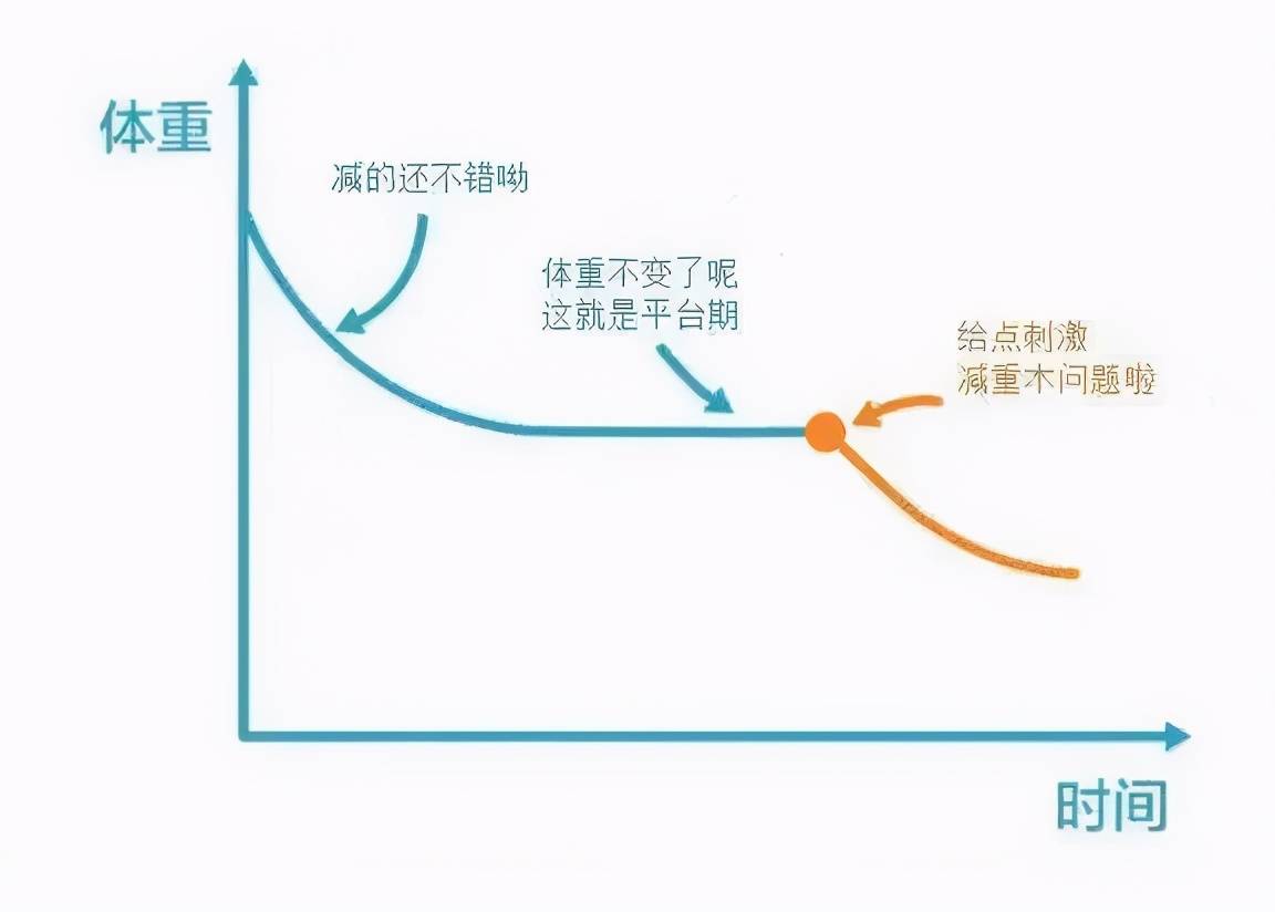 什么是减肥平台期?遇到怎么办?