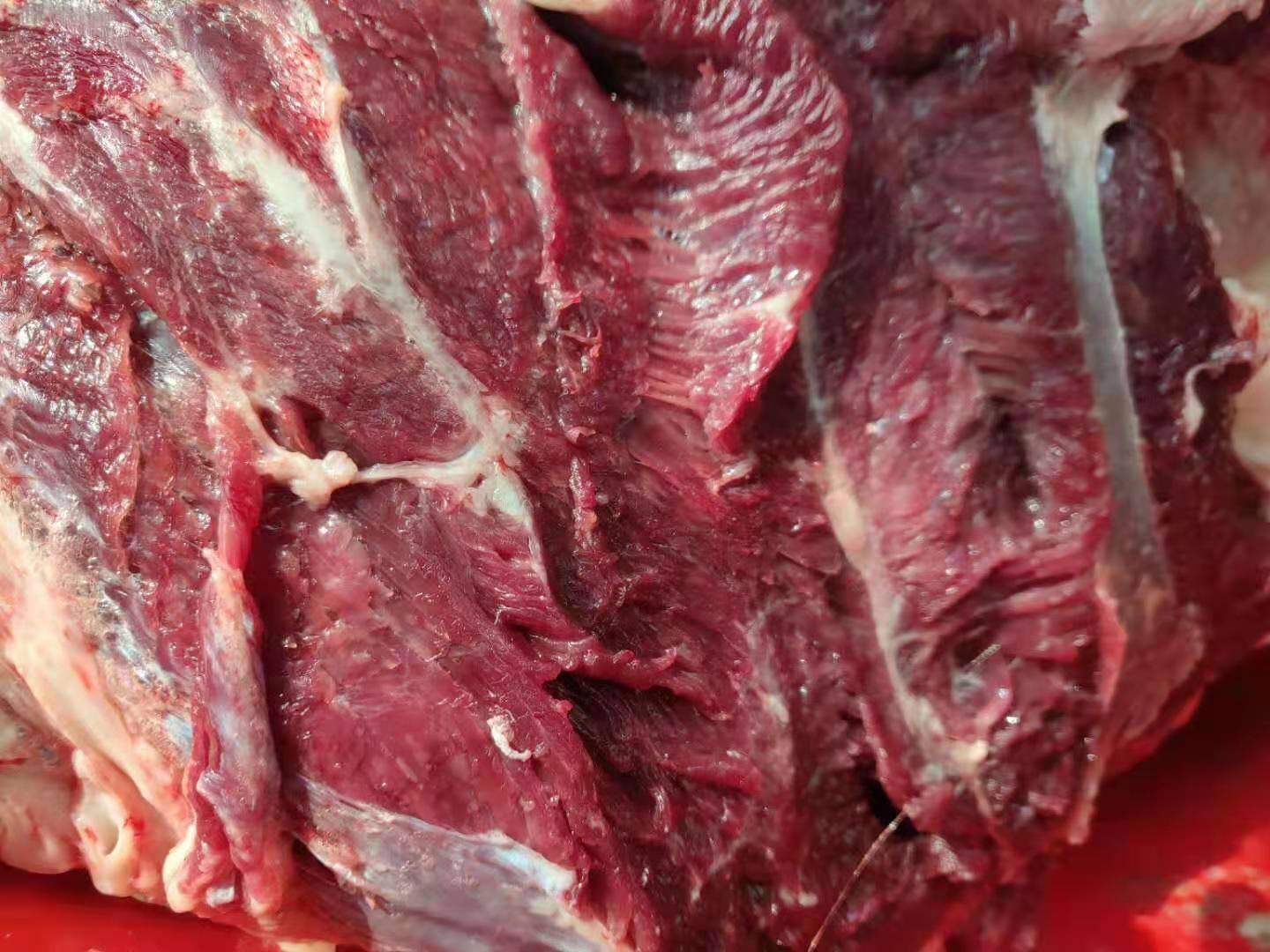 牛肉和马肉的区分从肌肉的脂肪看:牛肉脂肪呈白色,肌纤维间脂肪明显
