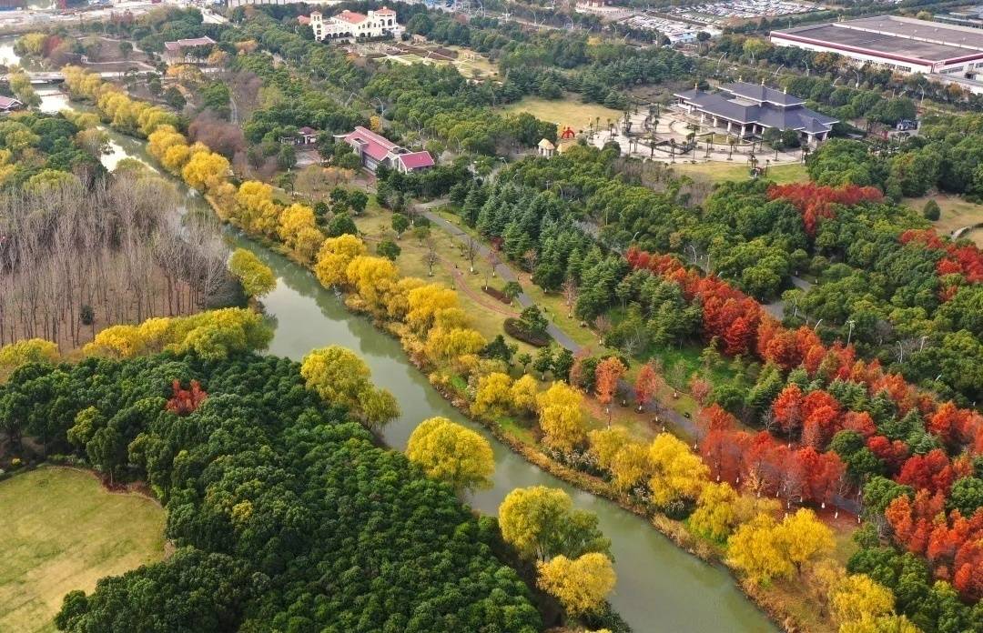 让我们变成"巨人",俯瞰顾村公园这个缤纷的世界