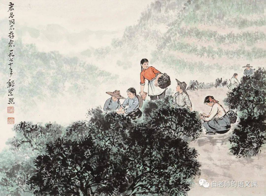 胡兰成:采茶_手机搜狐网