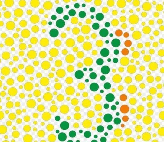 4张色盲测试图,不能识别出来,那就得放弃考取驾驶证