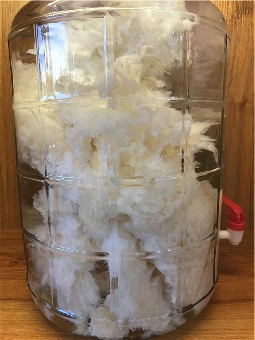 石太岁水有一个不可思议的特点,就是可以反复地被复制,因此有了一瓶石