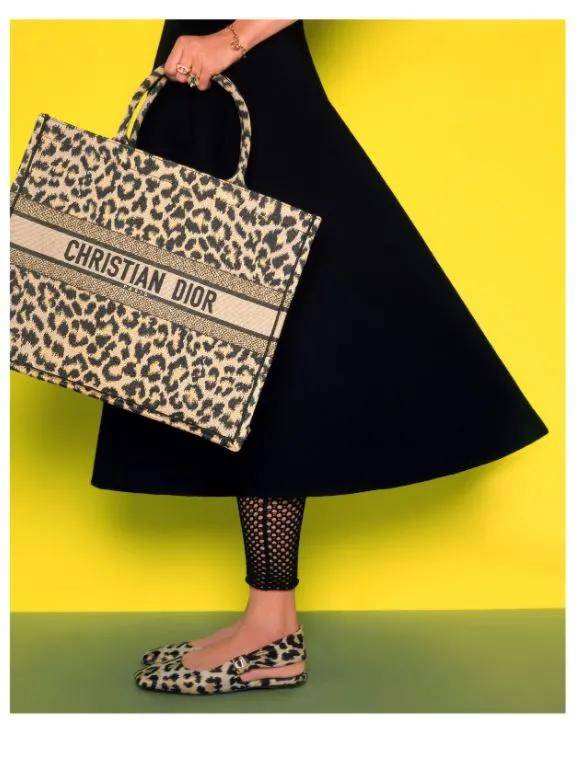 dior 迪奥 2021早秋女装系列