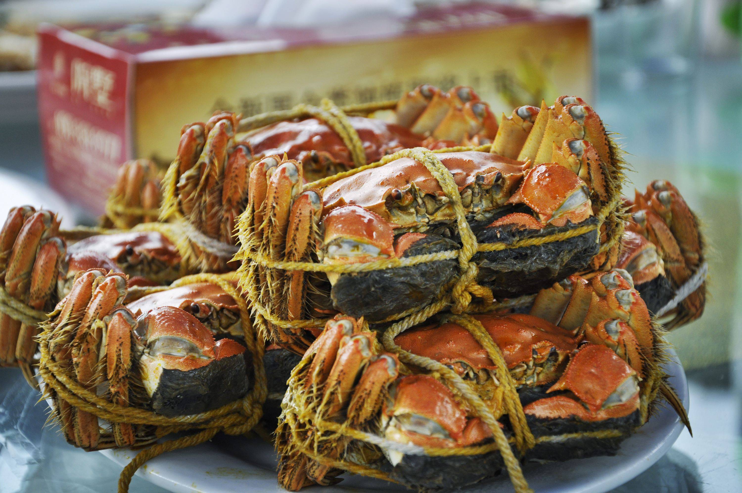 清水|江苏阳澄湖