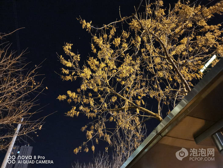 华为nova8pro评测让自拍更简单开创vlog手机时代