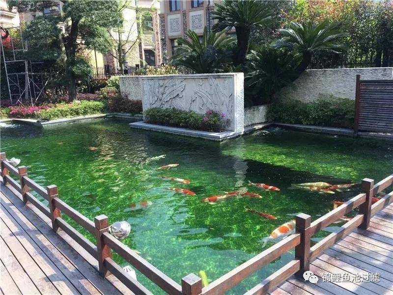 中西方锦鲤鱼池不同风格的美